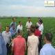Agri-business in Tatarstan, Russian Federation gets inspired by Dutch Agri-business. Agri-business in Tatarstan, Russian Federation gets inspired by Dutch Agri-business.