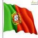 Greenhouse horticulture interest in North Portugal Greenhouse horticulture interest in North Portugal