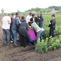 Chinese tree nursery business visit to Europe