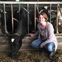 HollandDoor continues to grow in animal husbandry