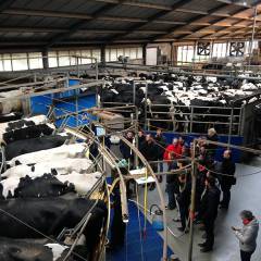 Study tour for French students animal husbandry 