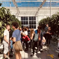 FMach Italy students visit Dutch greenhouses