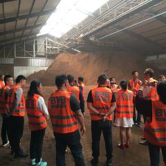 Chinese tree nursery tour 2018