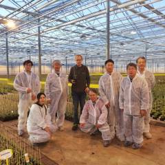 	 Greenbridge and HollandDoor intensify co-operation to organize tailor-made tours for Japanese clients