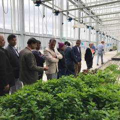 Bangladesh Ministry of Agriculture continues to study Dutch horticulture