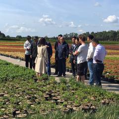 Chinese nursery sector shows continuous interest in the Netherlands