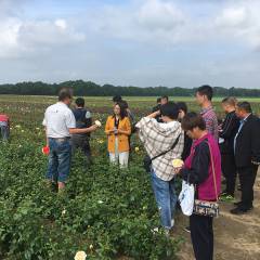 Chinese tree nursery sector ready for change