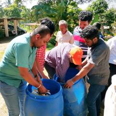 TMT sustainable feed & waste management in the dairy sector in Sri Lanka