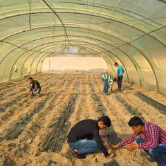  Jordan: Strengthening vocational education to bolster employment opportunities, innovation, and food security 