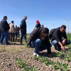 Egypt learns about climate-smart solutions