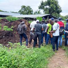 Practical training in goat farming and sheep husbandry in Benin