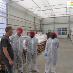 Equalance Suriname studies feasibility of greenhouse vegetable production